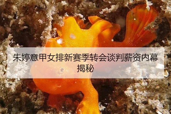 zhu-ting-yi-jia-nv-pai-xin-sai-ji-zhuan-hui-tan-pan-xin-zi-nei-mu-jie-mi-3-728.jpg