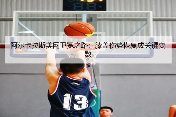 a-er-ka-la-si-mei-wang-wei-mian-zhi-lu-xi-gai-shang-shi-hui-fu-cheng-guan-jian-bian-shu-3-936.jpg