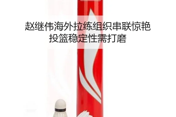 zhao-ji-wei-hai-wai-la-lian-zu-zhi-chuan-lian-jing-yan-tou-lan-wen-ding-xing-xu-da-mo-3-608.jpg